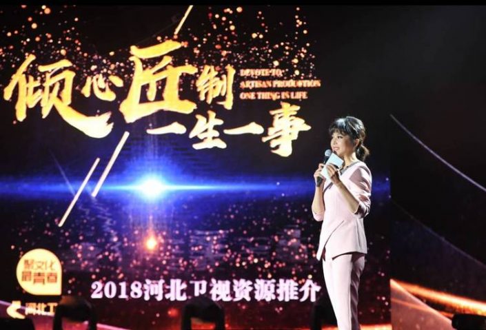 河北电视台2018年招商会都市频道推介定制人屏互动插图10